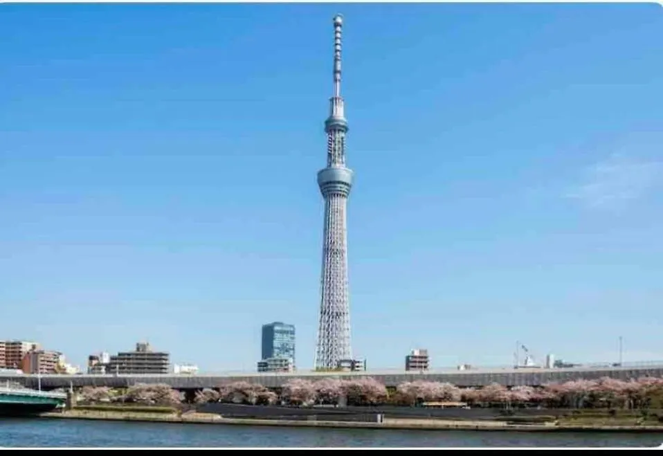 Momo Palace-1
